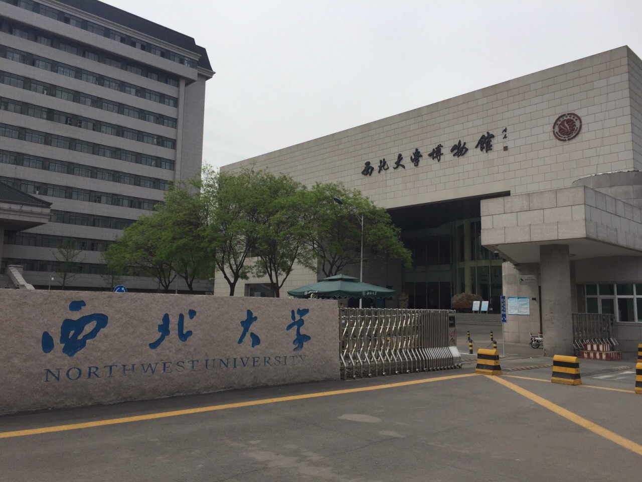 西北大学的最新情况概览