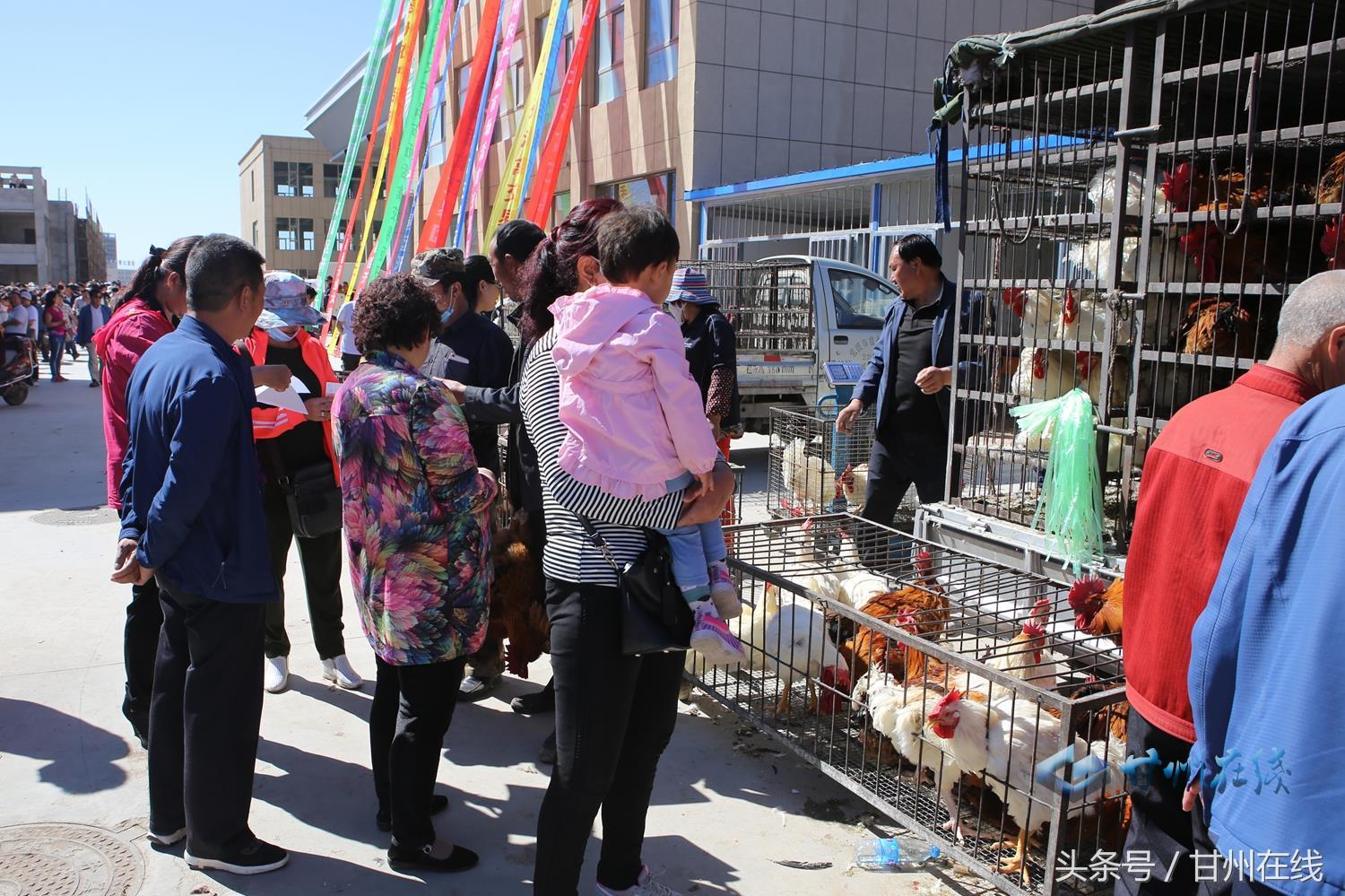 活禽交易市场最新动态，发展趋势、挑战与对策