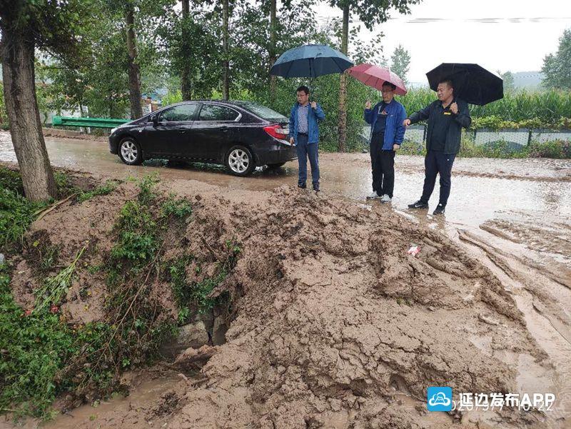 海神台风实时路线最新，动态分析与应对策略