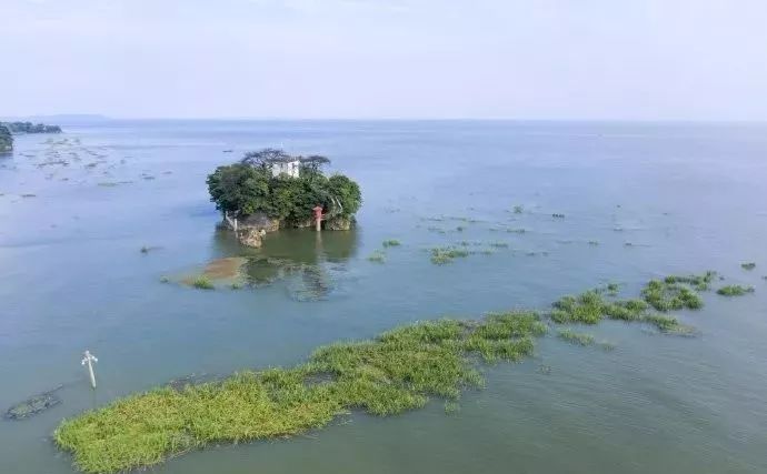 鄱阳湖水位最新消息，动态监测与应对策略