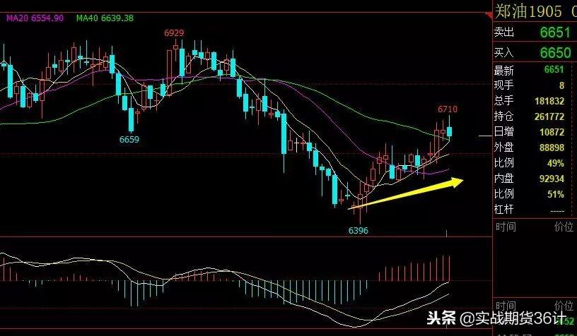 菜籽期货最新价格行情分析