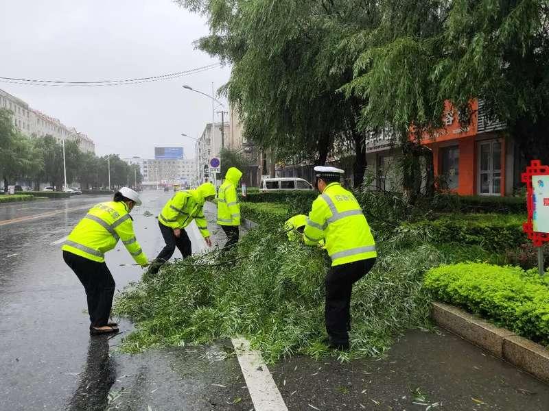 最新台风美沙克消息，影响与应对措施