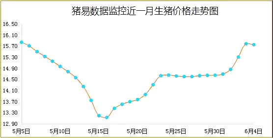 全国今日猪肉价格最新分析与展望