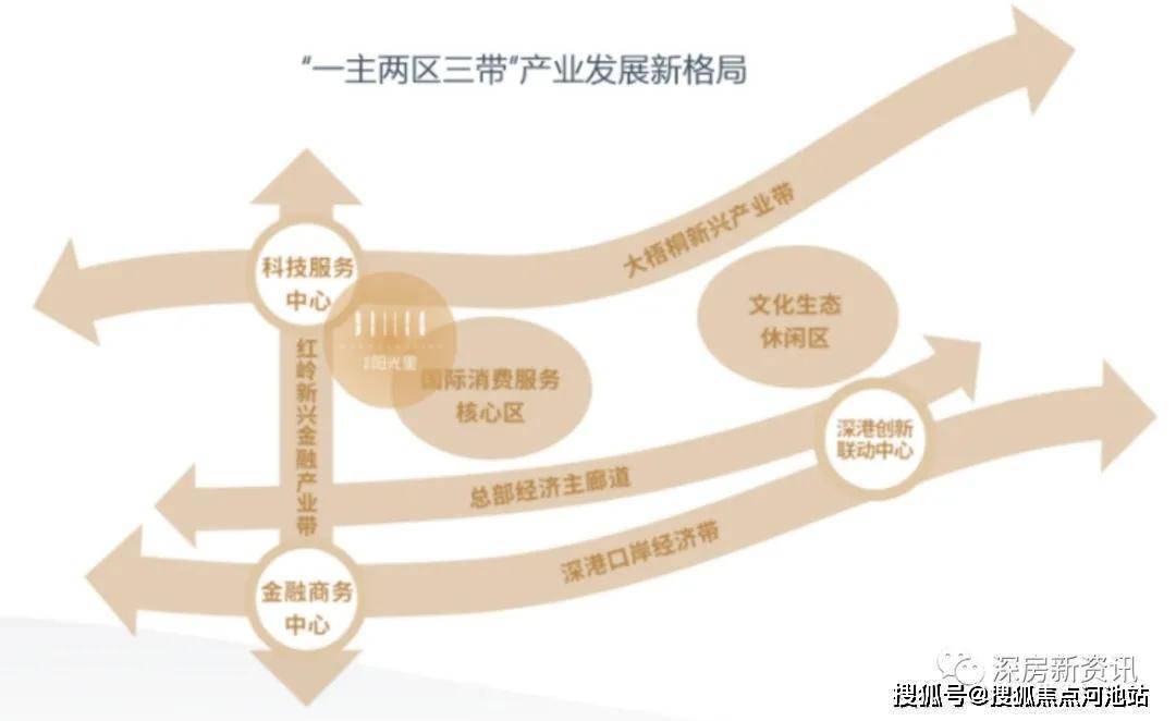 先行区最新消息，引领未来的新动力